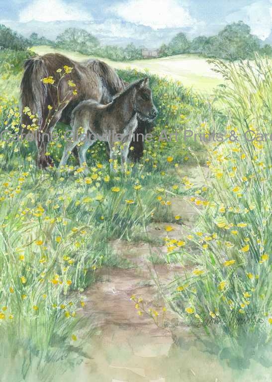 Shetland pony and foal, painting by Caroline Glanville